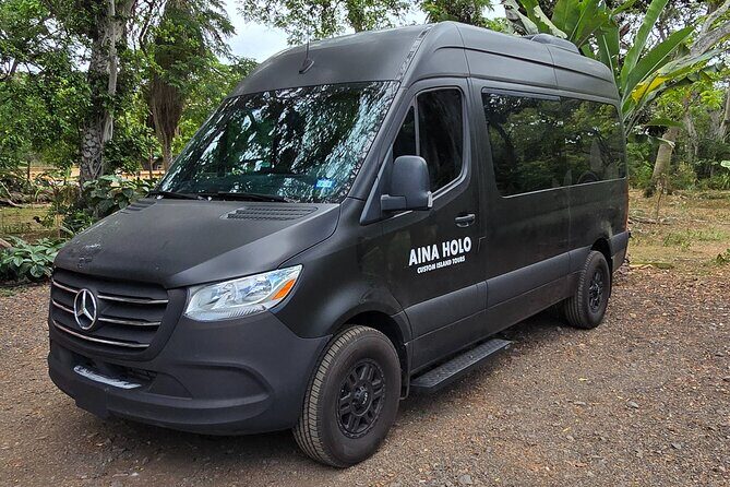 North Shore Turtle Bay Private Airport Transfer Up to 10 Guests - Addressing the Price: Is It Good Value?