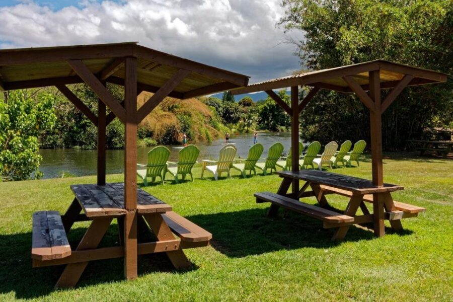 North Shore's best day! River, Turtles, Farm with Lunch - What to Expect During Your Day