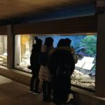 North Vancouver Discovery Private Tour - Itinerary Breakdown: What to Expect