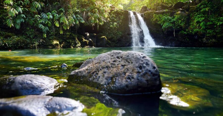 Northshore Maui: Guided Rainforest and Waterfall Walk - Who Should Consider This Tour?