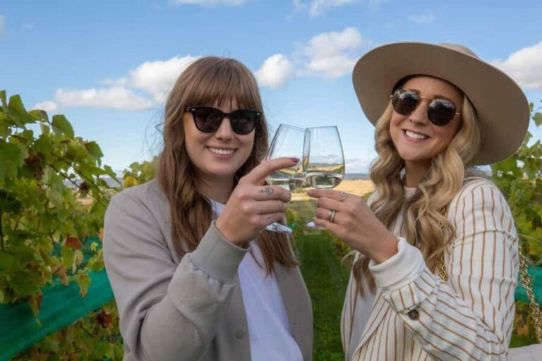 Nova Scotia Annapolis Valley Wine Tour Lead by a Sommelier - The Value of This Experience