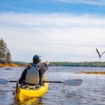 Nova Scotia: Guided Half-Day LaHave Islands Sea Kayak Tour - Who Should Consider This Tour?