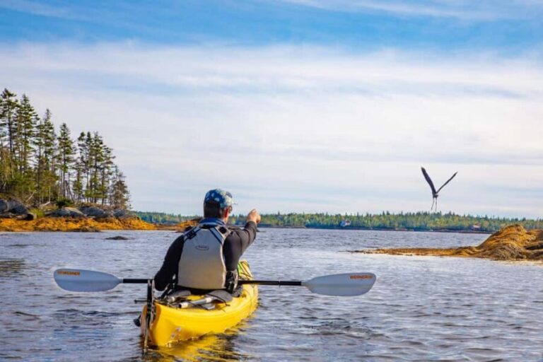 Nova Scotia: Guided Half-Day LaHave Islands Sea Kayak Tour - Who Should Consider This Tour?