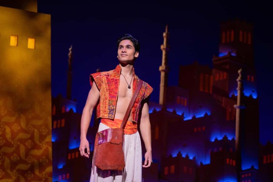NYC: Aladdin the Musical on Broadway - Who Should Consider This Experience?