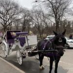 NYC: Amazing Central Park Horse and Carriage Ride with Guide - Who Should Consider This Tour?