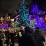 NYC at Night: 3.5 Hour Tour of Holiday Lights - Practical Details