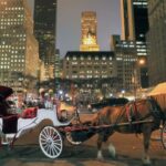 NYC : Central Park by Night: Horse-Drawn Carriage Ride - Final Thoughts