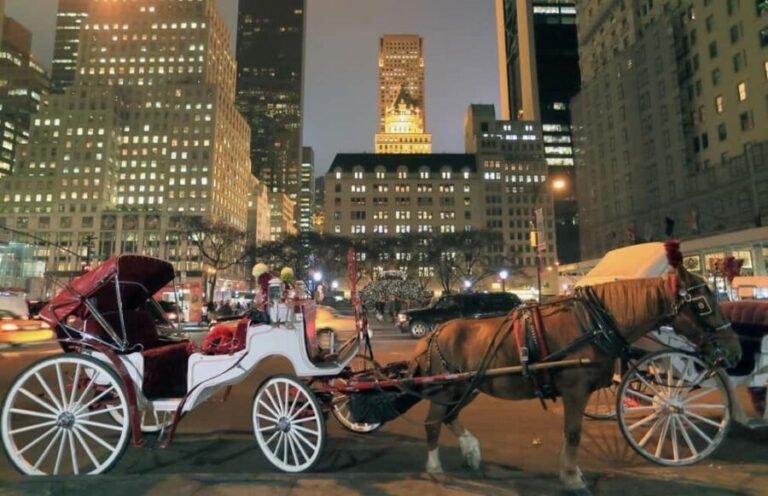 NYC : Central Park by Night: Horse-Drawn Carriage Ride - Final Thoughts