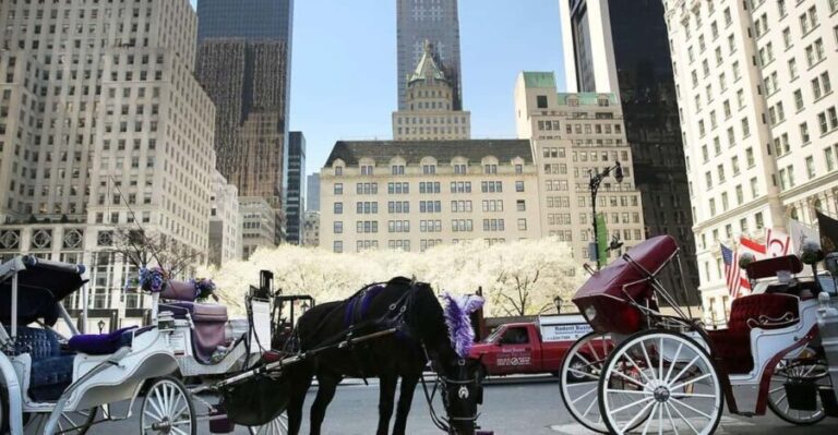 NYC: Central Park Christmas Lights Horse-Drawn Carriage Ride - Breaking Down the Experience