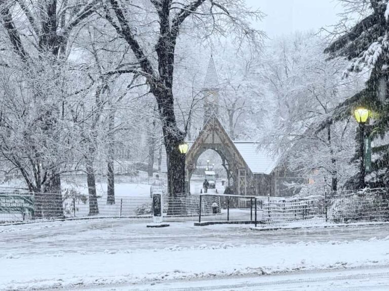 NYC: Central Park Guided Bike Tour with Movie Locations - The Itinerary: What to Expect