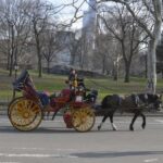 NYC: Central Park Horse-Drawn Carriage Ride - Who Will Love this Experience?