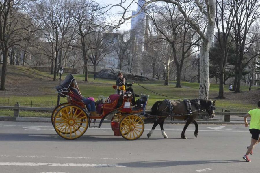 NYC: Central Park Horse-Drawn Carriage Ride - Who Will Love this Experience?