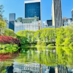 NYC: Central Park Pedicab Tour with Photo Stops - Authentic Traveler Perspectives
