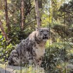 NYC: Central Park Zoo & Central Park Guided Walking Tour - What Makes the Central Park Guided Walk Special?