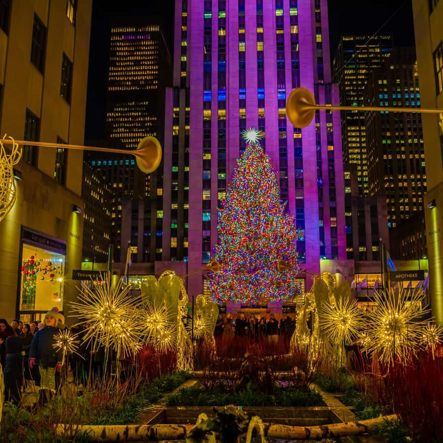 NYC Christmas Magic: Rockefeller Tree & Lights Rickshaw Ride - Starting Point: Times Square’s Electric Buzz