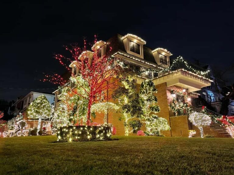 NYC: Dyker Heights Christmas Lights Tour with Guide - What’s the Value? Analyzing the Cost and Experience