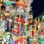 NYC: Dyker Heights Christmas Lights Trolley Tour - Who This Tour Is Best For
