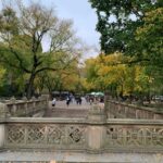 NYC: Empire State Horses Carriage Ride in Central Park - Analyzing the Value