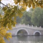 NYC Fall Foliage Cruise - Who Should Consider This Tour?
