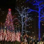 NYC Festive Magic: Christmas Lights Experience - Practical Details and What It Means for You