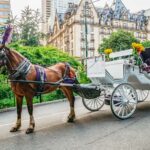 NYC: Guided Central Park Horse Carriage Ride - What’s Included and What to Expect