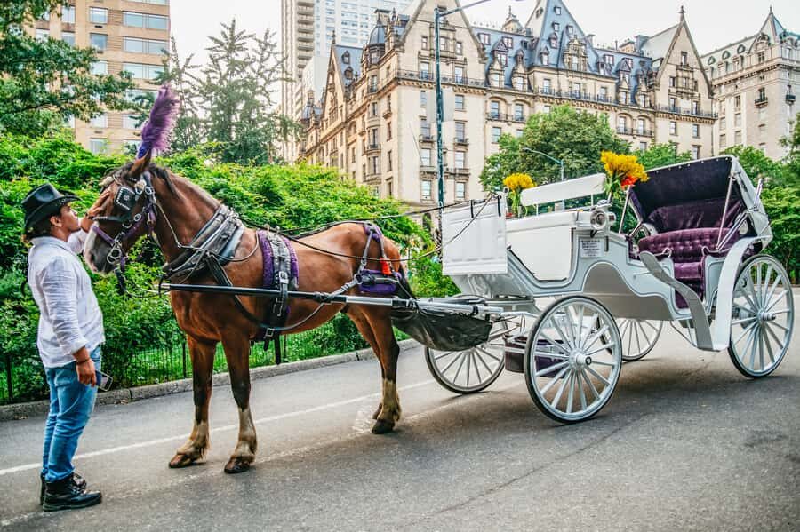 NYC: Guided Central Park Horse Carriage Ride - What’s Included and What to Expect