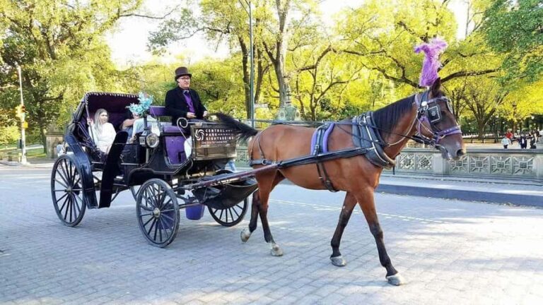 NYC: Long Central Park Horse Carriage Ride with Photo Stop - Analyzing the Value