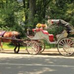 NYC Private Central Park Horse Carriage Ride with Guide - Final Thoughts: Is This the Right Tour for You?
