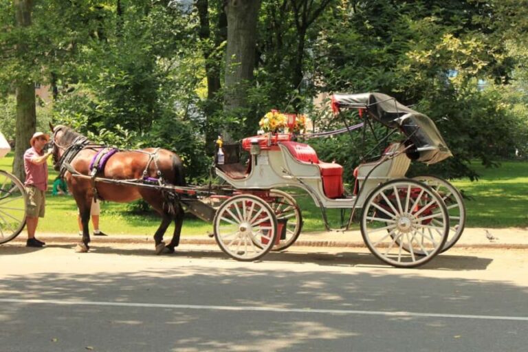NYC Private Central Park Horse Carriage Ride with Guide - Final Thoughts: Is This the Right Tour for You?