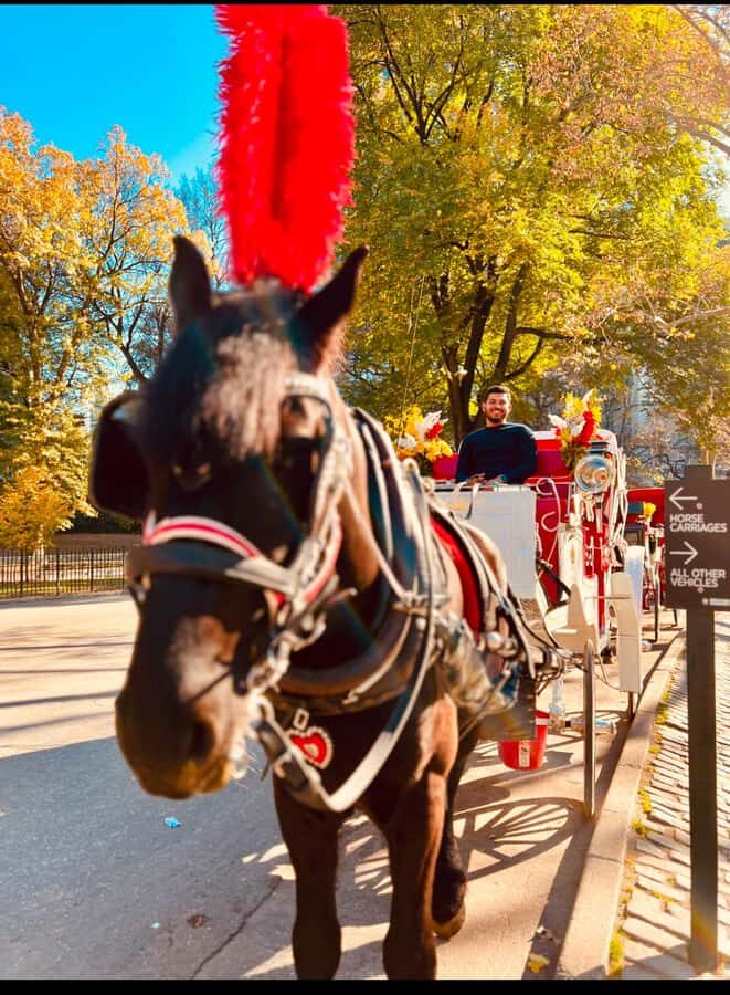 NYC: Private Central Park Horse-Drawn Carriage Tour - Authenticity and Reviews