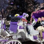 NYC: Private Christmas Lights Horse Carriage Ride - Why You Should Consider This Tour