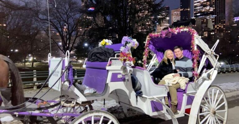 NYC: Private Christmas Lights Horse Carriage Ride - Why You Should Consider This Tour