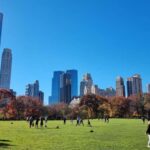 NYC: Romantic Central Park Carriage Experience - Practical Considerations: What to Expect