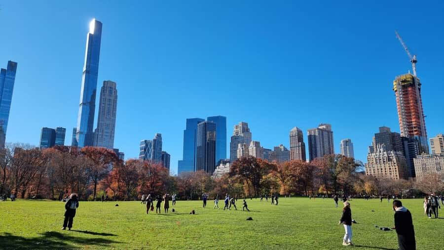 NYC: Romantic Central Park Carriage Experience - Practical Considerations: What to Expect