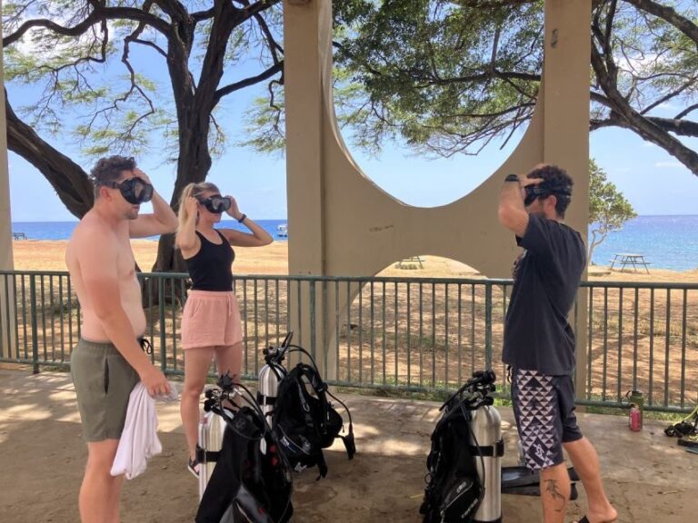 Oahu: Beginner SCUBA Dive at Electric Beach - The Value Proposition