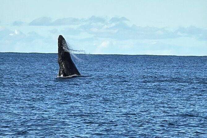 Oahu Boat Tour Ko Olina Experience - Why This Tour Offers Good Value