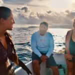 Oahu: Cageless Shark Dive Adventure - Key Points