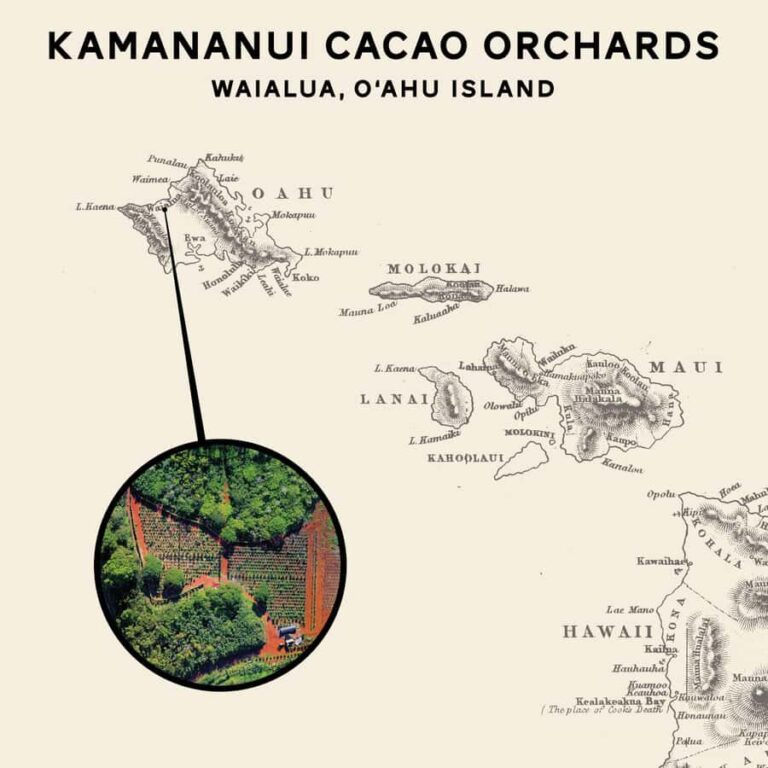 Oahu: Chocolate Farm Tour with Tasting - Kamananui Cacao - The Experience in Action: What Travelers Say