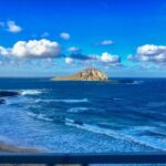Oahu: Circle Island Top Sights Full-Day Tour w/ Local Guide - Final Thoughts