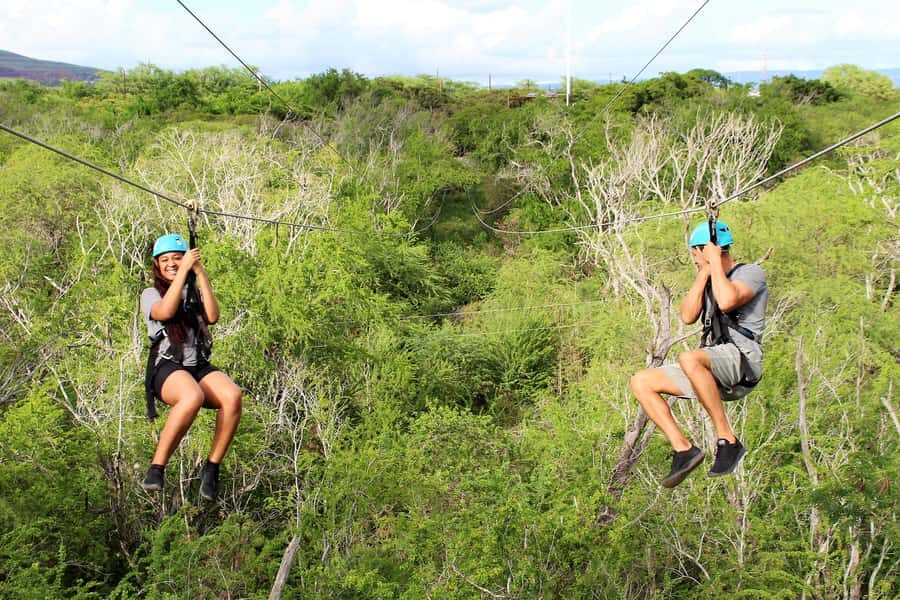 Oahu: Coral Crater Zipline Tour - Who Would Enjoy This Tour?