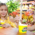 Oahu: Dole Plantation & Haleiwa Express Deluxe Tour - What the Tour Includes and What to Keep in Mind