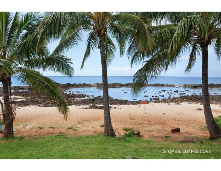 Oahu: Explore North Shore by E-Bike & Snorkel (Self-Guided) - The Real Traveler Experience