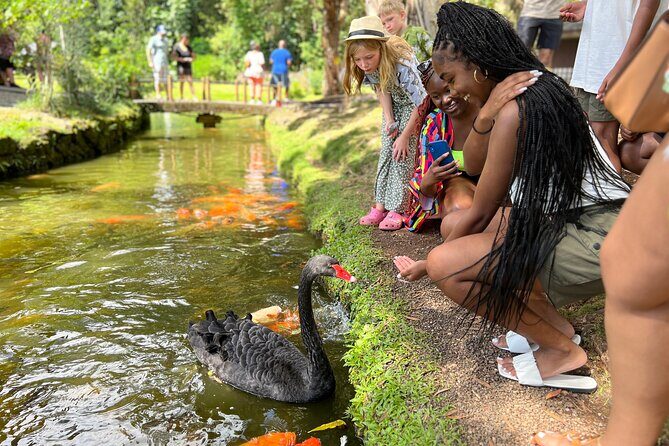 Oahu Family Adventure: Circle Island Tour + Byodo-in Temple - What Travelers Say and What It Means for You