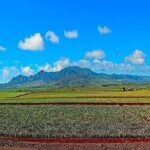 Oahu Grand Circle Island Experience Departing from Kauai - What Travelers Can Expect