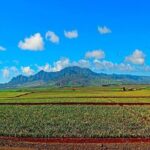Oahu Grand Circle Island Tour Departing from Waikiki - What the Reviews Say