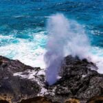Oahu: Grand Circle Island Tour with Haleiwa - Why This Tour Works for Travelers
