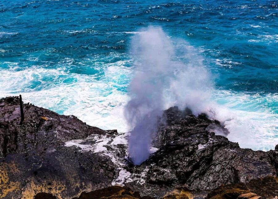 Oahu: Grand Circle Island Tour with Haleiwa - Why This Tour Works for Travelers