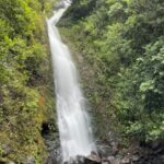Oahu: Hidden Hawaii Waterfall Hike and Beach Tour - Logistics and Practicalities