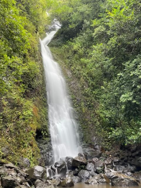 Oahu: Hidden Hawaii Waterfall Hike and Beach Tour - Logistics and Practicalities