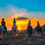 Oahu: Horseback Riding Sunshine or Sunset Tour - What to Expect During the Ride